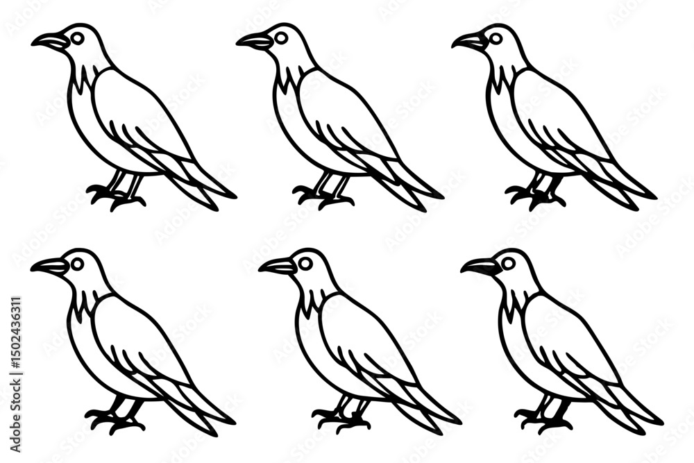 Fototapeta premium Elegant Crow Sketch Pack