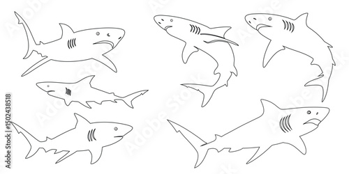 a set of shark fish icon vector