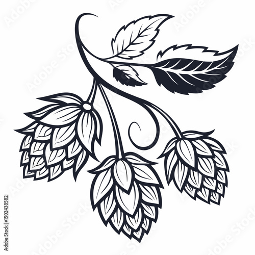 Hop-bud Vector AI Graphic Design File on White Background