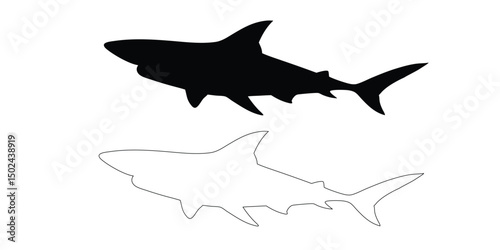 black silhouette of a shark