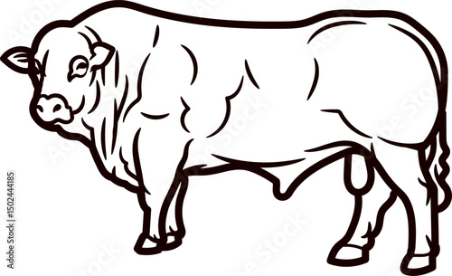 Vector of a bull or cow. Firm animal. Bull in the field. Bull in the firm