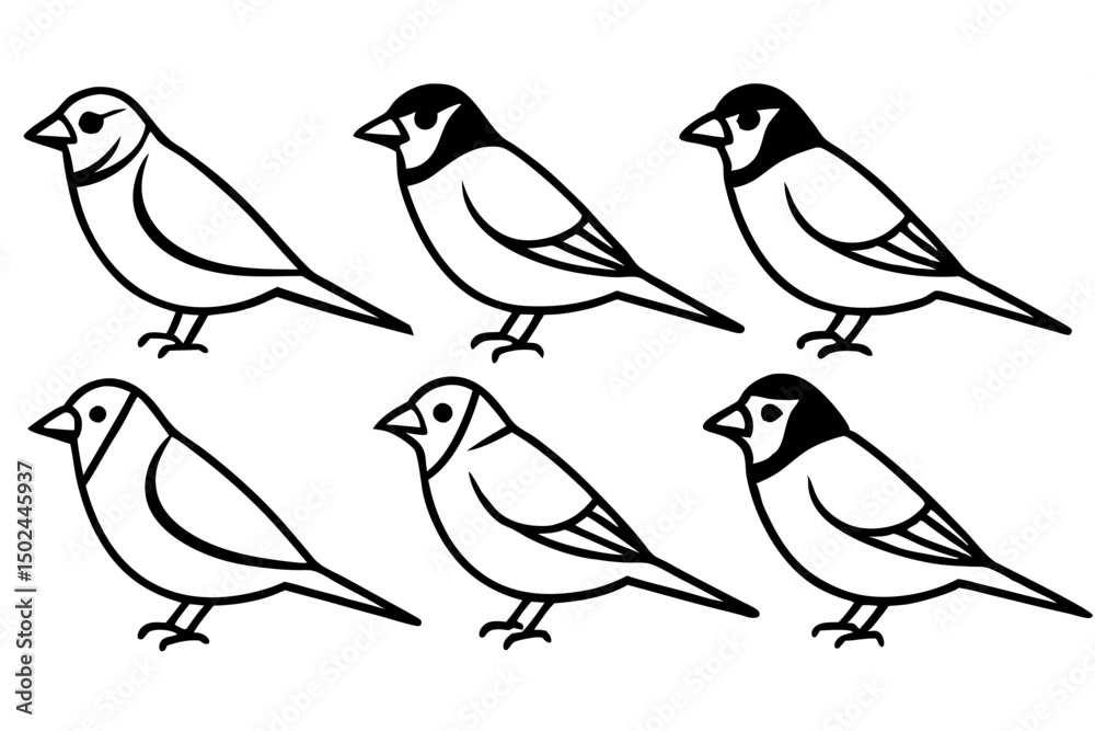 Fototapeta premium Finch Bundle Set Minimalist Line Art Vector
