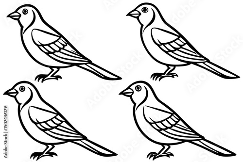 Wallpaper Mural Finch Bundle Set Minimalist Line Art Vector Torontodigital.ca