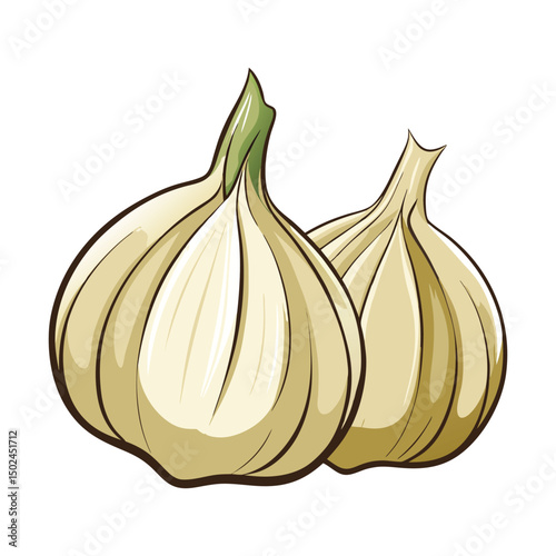 Fresh garlic and onion isolated on a white background, perfect for healthy cooking with organic ingredients