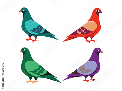  pigeons illustration set
