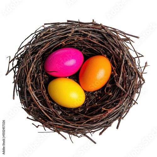 Colorful easter eggs in a nest isolated on transparent background for spring holiday design