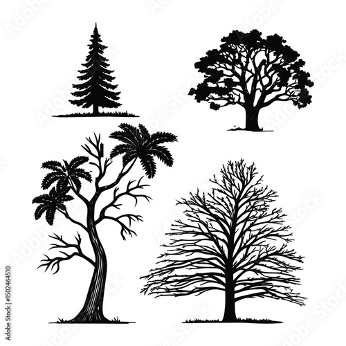 Collection of bare winter tree silhouettes with branches, Tropical beach nature vector illustration, perfect for nature and forest landscape designs, with black palm tree silhouettes