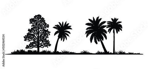 Collection of bare winter tree silhouettes with branches, Tropical beach nature vector illustration, perfect for nature and forest landscape designs, with black palm tree silhouettes