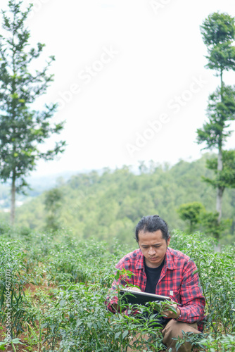 Millennial agricultural worker seated rows of chili trees combining hands on plant inspection with real time digital monitoring symbol of future forward agriculture empty copy space