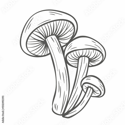 Wine Cap Mushroom Line Art Illustration