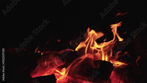 Bright orange flames dance over glowing embers in a campfire, creating a warm nocturnal atmosphere.