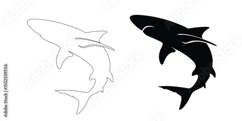 vector illustration of a shark silhouette