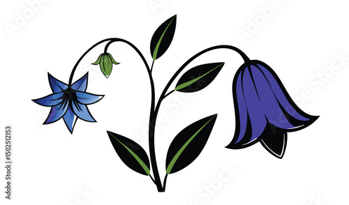 Elegant harebell and campanula floral design with star