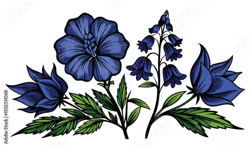 Hooded blue monkshood and wolfsbane flowers illustration