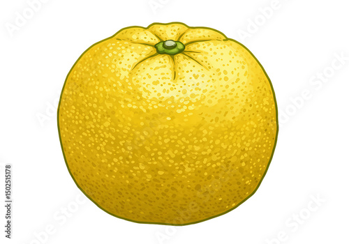 Juicy Yellow Orange Fresh Citrus Fruit isolated on transparent background