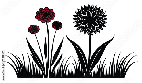 Thrift armeria flowers pom pom blooms and grass