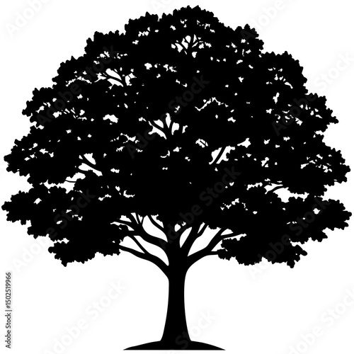 Deciduous-oak  Printable Art – Nature-Inspired Digital Design for Home or Office Decor