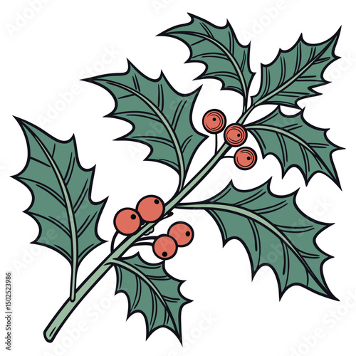 Christmas holly berry leaves icon on white background. Adobe Illustrator Artwork