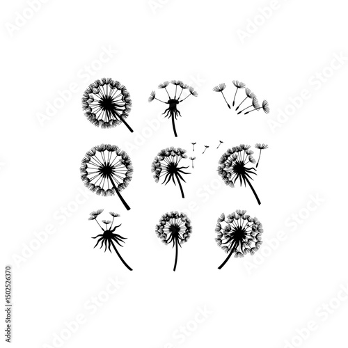 Dandelion Puff Ball Icon