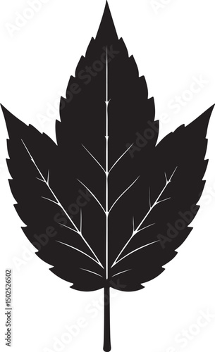 Simple black silhouette of a single leaf
