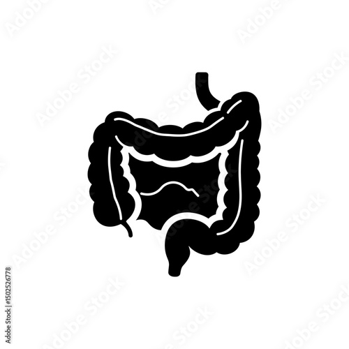 Anatomical image of cecum pouch from large intestine