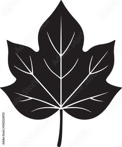Black silhouette of a single leaf nature
