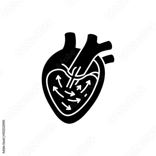 Heart Valves Internal Blood Flow Diagram Showing Cardiac Function