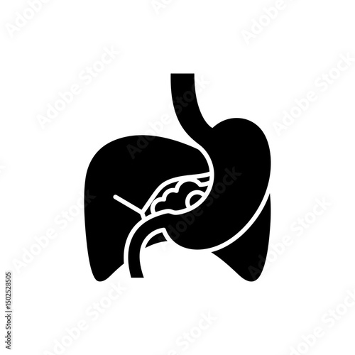 Hiatal Hernia with Diaphragm Diagram Showing Stomach Displacement Condition