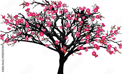 spring tree with large dark red blooms on white