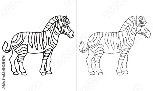 zebra