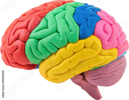 Vibrant Clay Brain Art