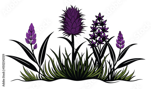 Blazing star and liatris wildflowers with purple spikes