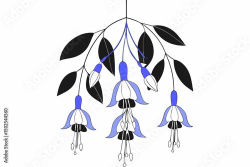 Vibrant fuchsia flowers hanging like pendants with deep green leaves ideal for garden inspired artwork floral stationery or botanical themed creative content