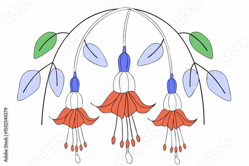 Graceful fuchsia pendant blossoms surrounded by glossy green leaves perfect for botanical illustrations floral decor projects or nature themed digital content
