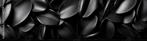 Black and white photo of overlapping smooth, curved leaf shapes