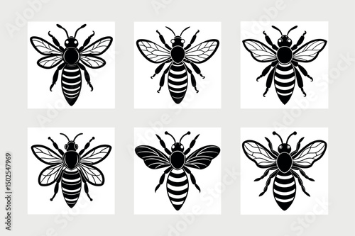           Asian giant hornet bee vector illustration.
