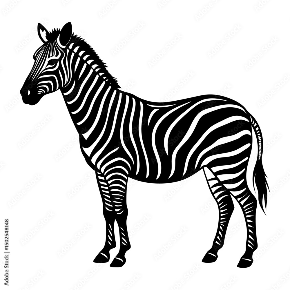 Obraz premium A Zebra vector silhouettes 