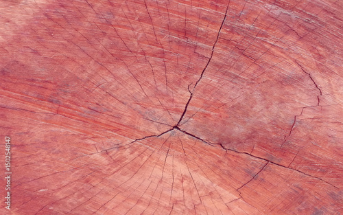 Crack wooden background. Slice of wood timber with juniper tree rings as natural geometric pattern