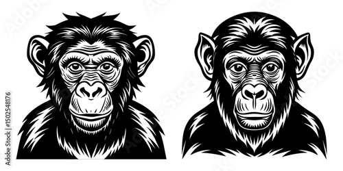 A Chimpanzee vector silhouettes 