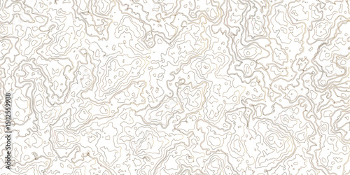 Topographic map background geographic line map with elevation assignments. Fish Fillet Texture, Salmon fillet texture, fish pattern. paper texture