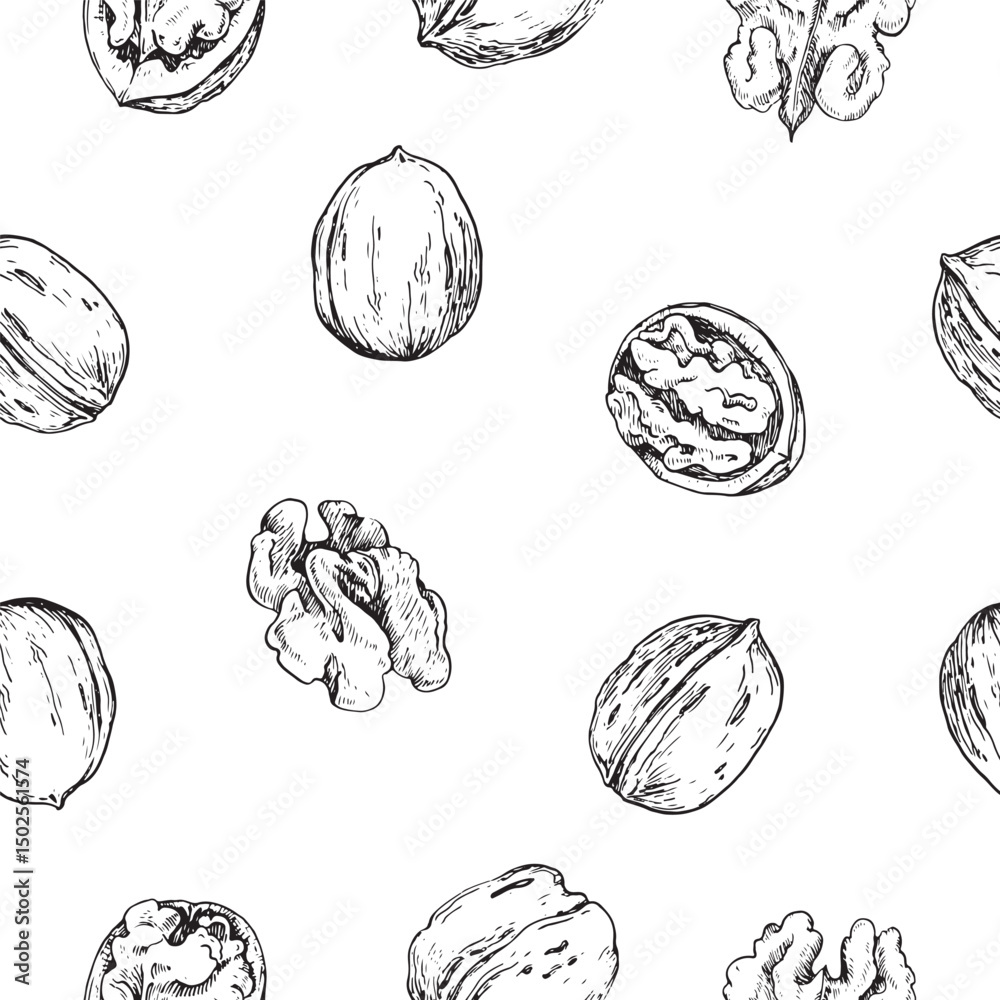 Obraz premium Walnut seamless vector pattern hand drawn with ink. Graphic ornament with whole and cut nuts in shell and peeled kernels. For label design