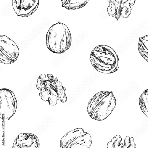 Walnut seamless vector pattern hand drawn with ink. Graphic ornament with whole and cut nuts in shell and peeled kernels. For label design