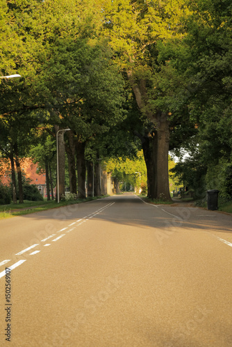 Empty road neighborhood town summer trees and grass at golden hour, peaceful rural landscape in Europe.