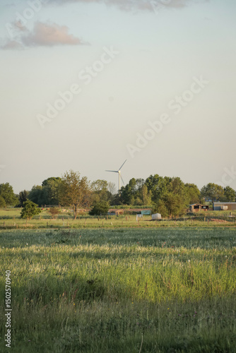 Landscape wind turbine flatland meadow grass field. Nature golden hour Dutch European scenic view.