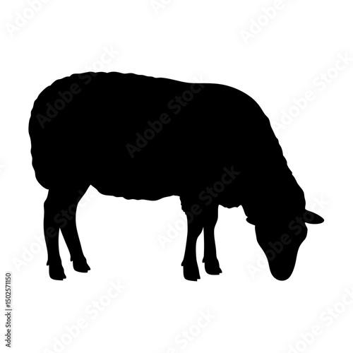 Black Standing Sheep Silhouette Vector Illustration