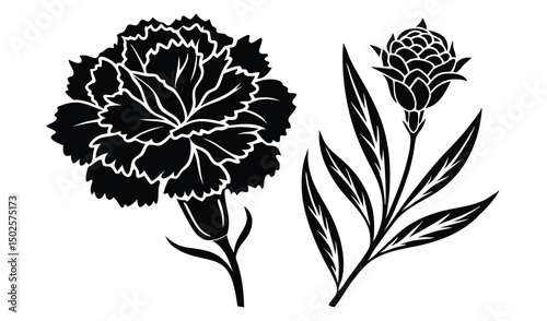 Fringed petals carnation and delphinium floral design
