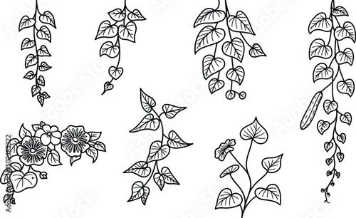 Black and white hand drawn botanical illustration of hanging vines and flowers
