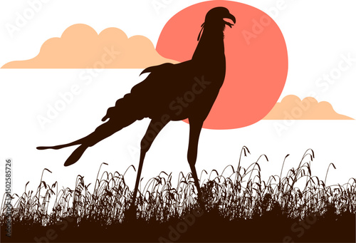 bird in the grass