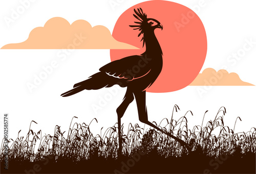 bird on the grass