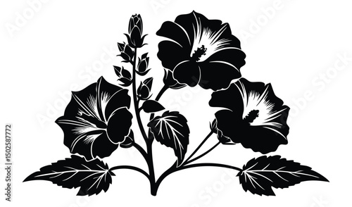 Elegant hollyhock and mallow flowers with funnel shaped blooms